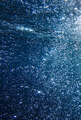 bubbles, bubble, water, underwater, sea, air, deep, undersea, under, background, wave, liquid, clear, clean, ocean, nature, texture, oxygen, blue, white, effect, transparent, foam, aquarium, aqua.