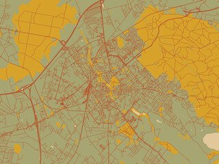Contemporary flat map of Koszalin, Poland design with muted sage base, rust-colored roads, and soft ochre highlights.