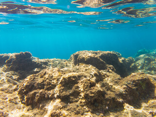 Obraz premium A serene underwater seascape of a sunlit rocky reef in the transparent turquoise sea of the French Riviera, Cap Ferrat.