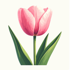 Vector illustration of a single tulip flower in clean flat colors