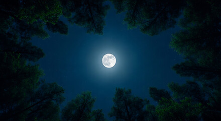Fantasy Night Nature Scene with Celestial Sky, Forest Silhouettes, and a Glowing Full Moon