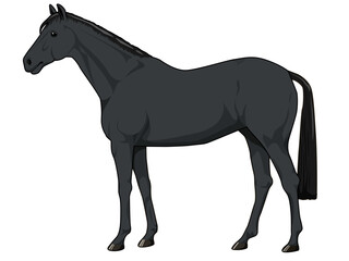 Fototapeta premium 青毛（黒毛）の馬（サラブレット）
