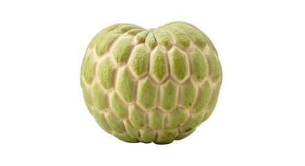 Isolated sugar apple, healthy tropical fruit grown in the Southeast Asia and Americas