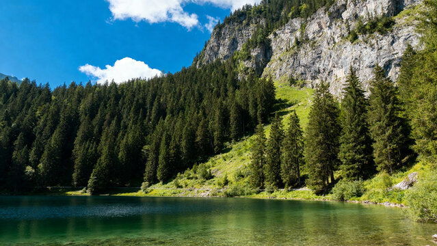 Mountain lake surrounded by forest