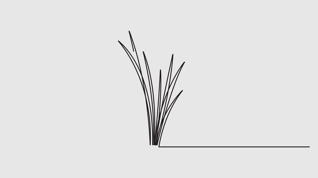 Grass in one continuous line drawing 4k animation video