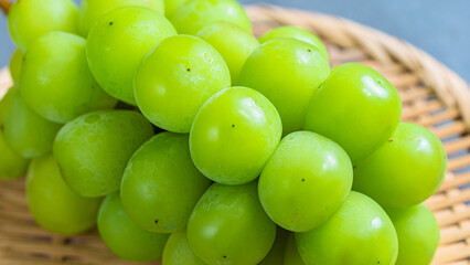 シャインマスカット