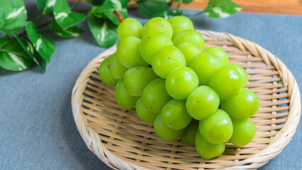 シャインマスカット