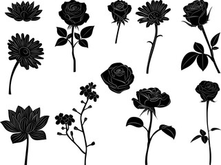 Set of silhouettes of flowers and roses, vector