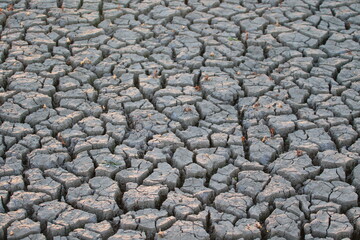 landscape photo of dry cracked soil