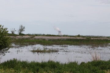 landscape photo of marsh with nuclear cooling tower in background