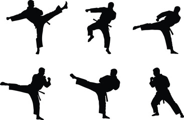 Martial arts silhouette, karate kick, taekwondo pose, self defense training, combat sport, fighter stance, martial discipline, flat vector illustration