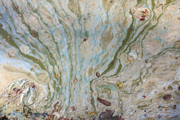 Polluted mountain lake surface in early autumn, showing algal bloom and cyanobacteria with oil-like sheen, leaves, and organic debris.