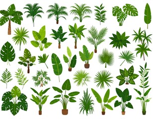 Assortment of stylized green tropical plants and foliage isolated on a white backdrop