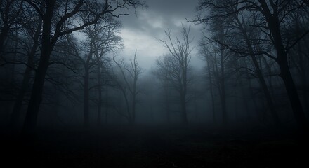 Mysterious dark forest with fog and bare trees in the night
