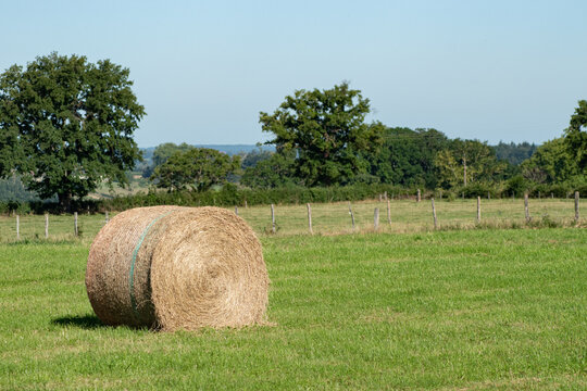 Roundballer de foin en Sa&ocirc;ne-et-Loire