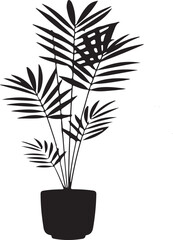 Elegant black silhouette of potted palm tree on white background design