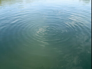 Ripples on calm water surface create soothing pattern