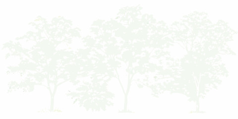 Subtle pale green tree silhouettes against a bright white background with a minimalist aesthetic