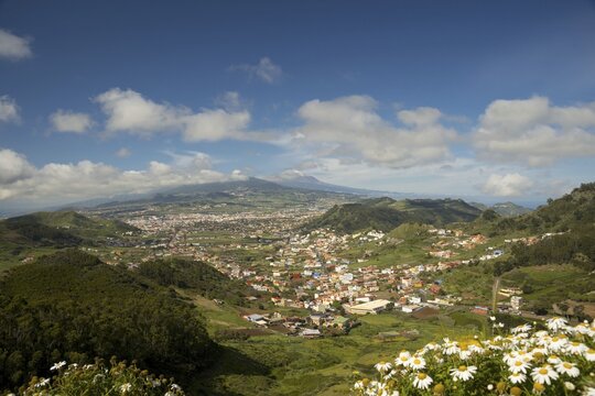 Panorama from Mirador de Jardina to San Cristobal de La Laguna, behind it the Pico de Teide, 3718m, Tenerife, Canary Islands, Spain