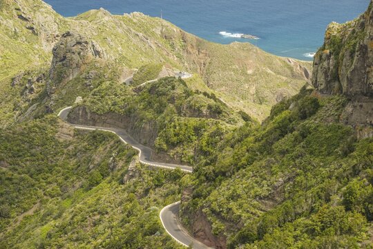 Mountain road, Valley of Taganana, Barranco de la Iglesia, Anaga Mountains, Las Montanas de Anaga, Tenerife, Canary Islands, Spain
