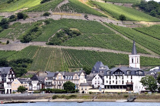 Assmannshausen, UNESCO World Heritage Cultural Landscape Upper Middle Rhine Valley, World Heritage Site, Hesse, Germany