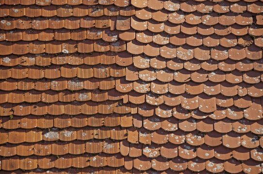 Plain tile roof panels, Germany