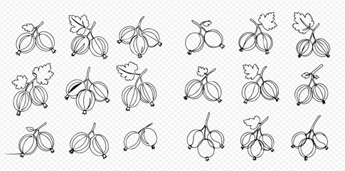 Collection of hand-drawn gooseberry illustrations, featuring various clusters of berries and leaves in a simple line art style.