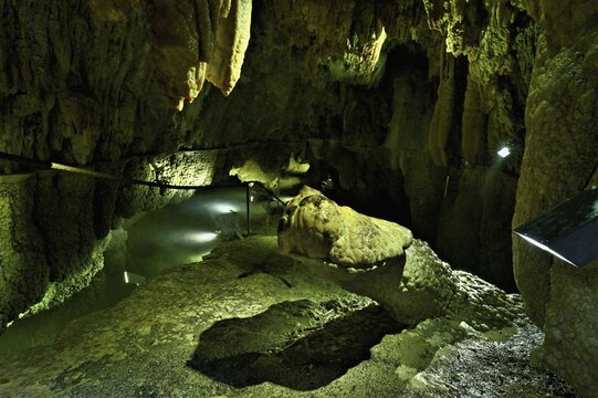 Crocodile, calcite formation, landmark of the cave, stalactite cave, H&ouml;llgrotten, Baar, Canton Zug, Switzerland