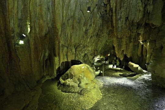 Arched turtle and crocodile, calcite formations, landmark of the grotto, stalactite cave, H&ouml;llgrotten, Baar, Canton Zug, Switzerland
