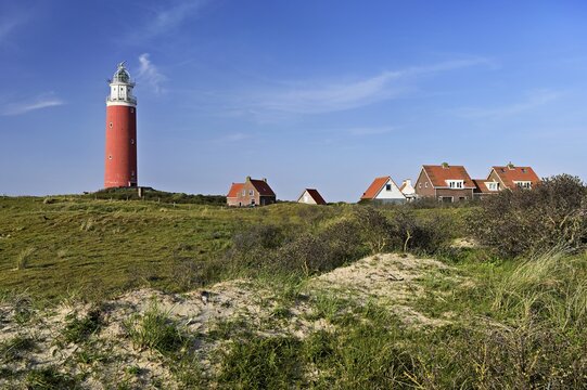 Lighthouse Eierland with houses, De Cocksdorp, Texel, West Frisian Islands, province North Holland, Netherlands
