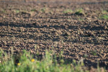 Terrain agricole fraichement labouré