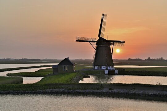 Historic windmill in the light of the setting sun, De Traanroeier, Het Noorden Molen, Texel, North Holland, Netherlands