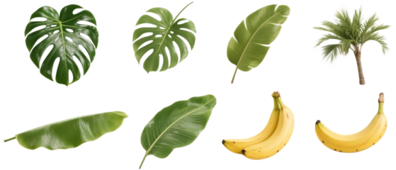 A collection of tropical elements including Monstera leaves, banana leaves, a palm tree, and ripe bananas.