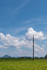 青空と雲　電柱がある郊外の道　滋賀県草津市