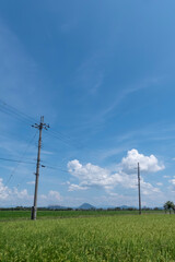 青空と雲　電柱がある郊外の道　滋賀県草津市