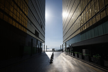 ビルに反射した夕陽