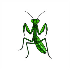five-legged praying mantis hand-drawn illustration artwork