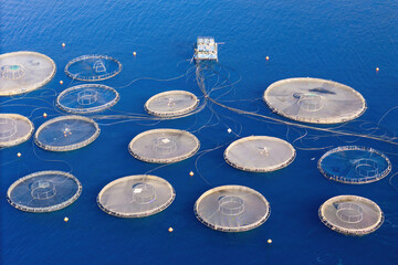 Fish cages in marine aquaculture facility near coastline. Eco-conscious method of producing fish for human consumption