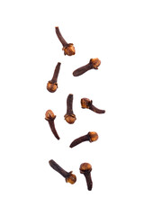 Dry cloves  spice  isolated on white background. 