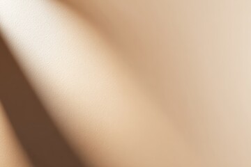 Soft Natural Light Casting Shadows on a Neutral Beige Wall Surface in Minimalist Style