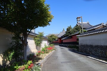 A Japanese temple : a scene of the access to Gogan-ji Temple in Nakatsu City in Oita Prefecture in Kyushu