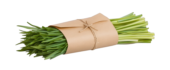 Bunch of fresh green garlic chives tied in brown paper wrapper isolated on transparent