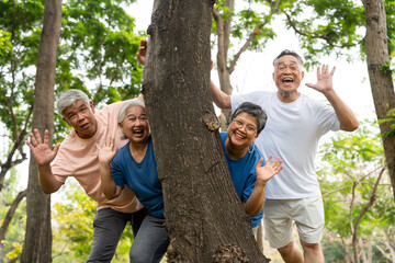 Four older adults enjoy a cheerful moment together in a lush outdoor setting. Their smiles and relaxed poses highlight themes of friendship, active aging, and joy of social connection in later life.