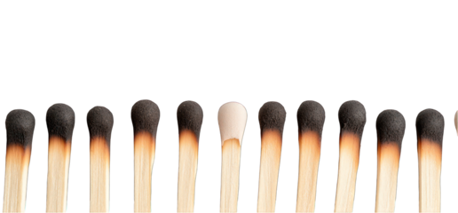 Burned match sticks in a row with one unused on transparent background