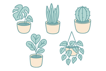 Collection of popular indoor potted plants including Monstera, cactus, and hanging foliage