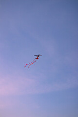Kite 