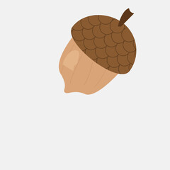 Acorn nut squirrel autumn fall vibes illustration clipart png transparent
