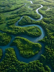 Obraz premium Aerial view captures a branching river delta with lush wetlands and mangrove forests at dawn showing intricate patterns and bird life