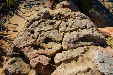 Beautiful fynbos rocks in the arid Biedouw Valley, Western Cape, South Africa.