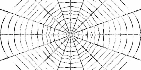 Abstract radial spider web pattern with black lines on white background